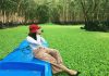 Kinh nghiệm du lịch rừng tràm Trà Sư ở An Giang hấp dẫn du khách