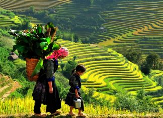 Du lịch Tây Bắc Mùa Thu chiêm ngưỡng và cảm nhận vẻ đẹp của dãy Hoàng Liên Sơn du lich tay bac mua thu