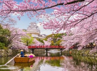 Chi phí du lịch Nhật Bản có đắt không, cần chuẩn bị bao nhiêu tiền? Chi phí du lịch Nhật Bản có đắt không, cần chuẩn bị bao nhiêu tiền?